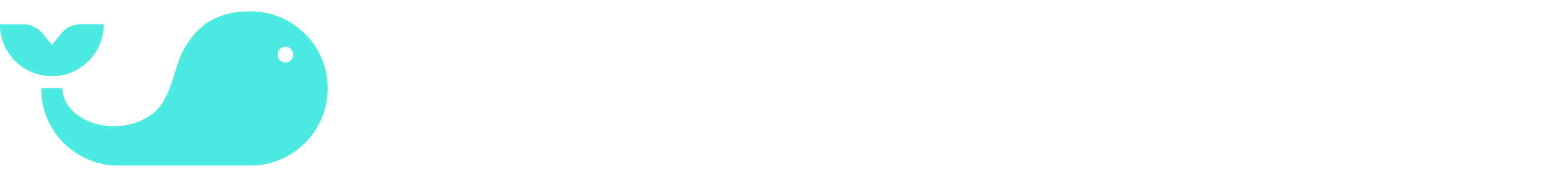 Splash Market